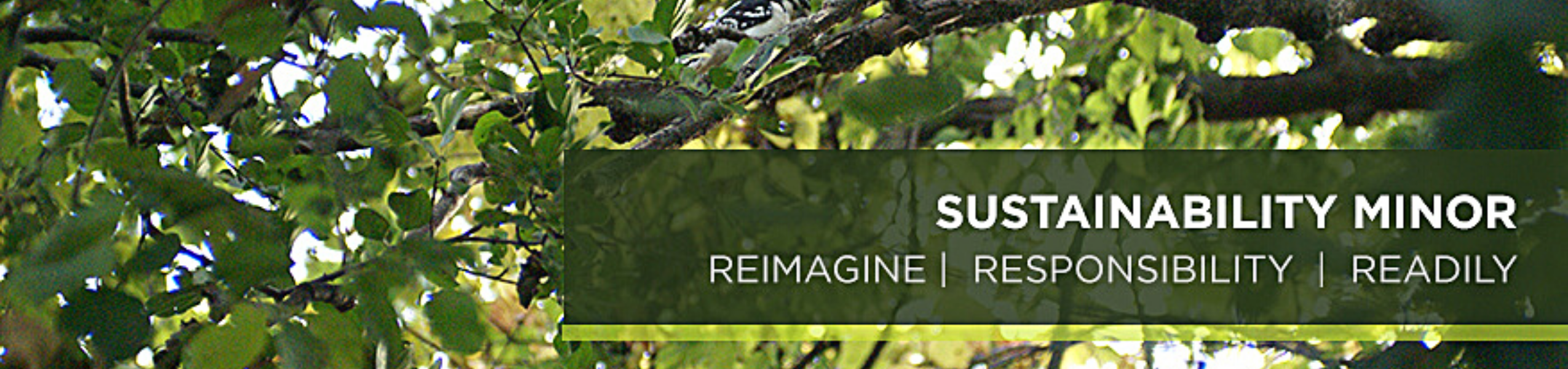 sustainability program image